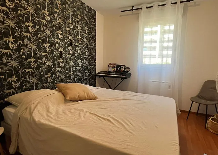 Apartment Grand T2 Proche Casone Ajaccio (Corsica)